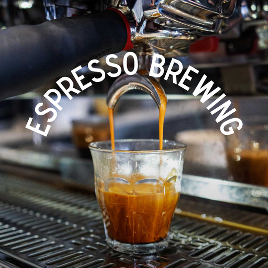 The Espresso Brewing Masterclass: