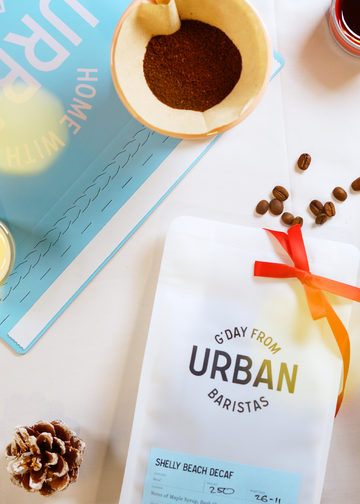 6 months - Gift Subscription